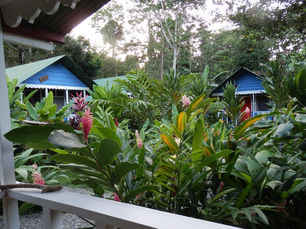 Hotel Casitas Mar Y Luz Puerto Viejo de Talamanca 외부 사진