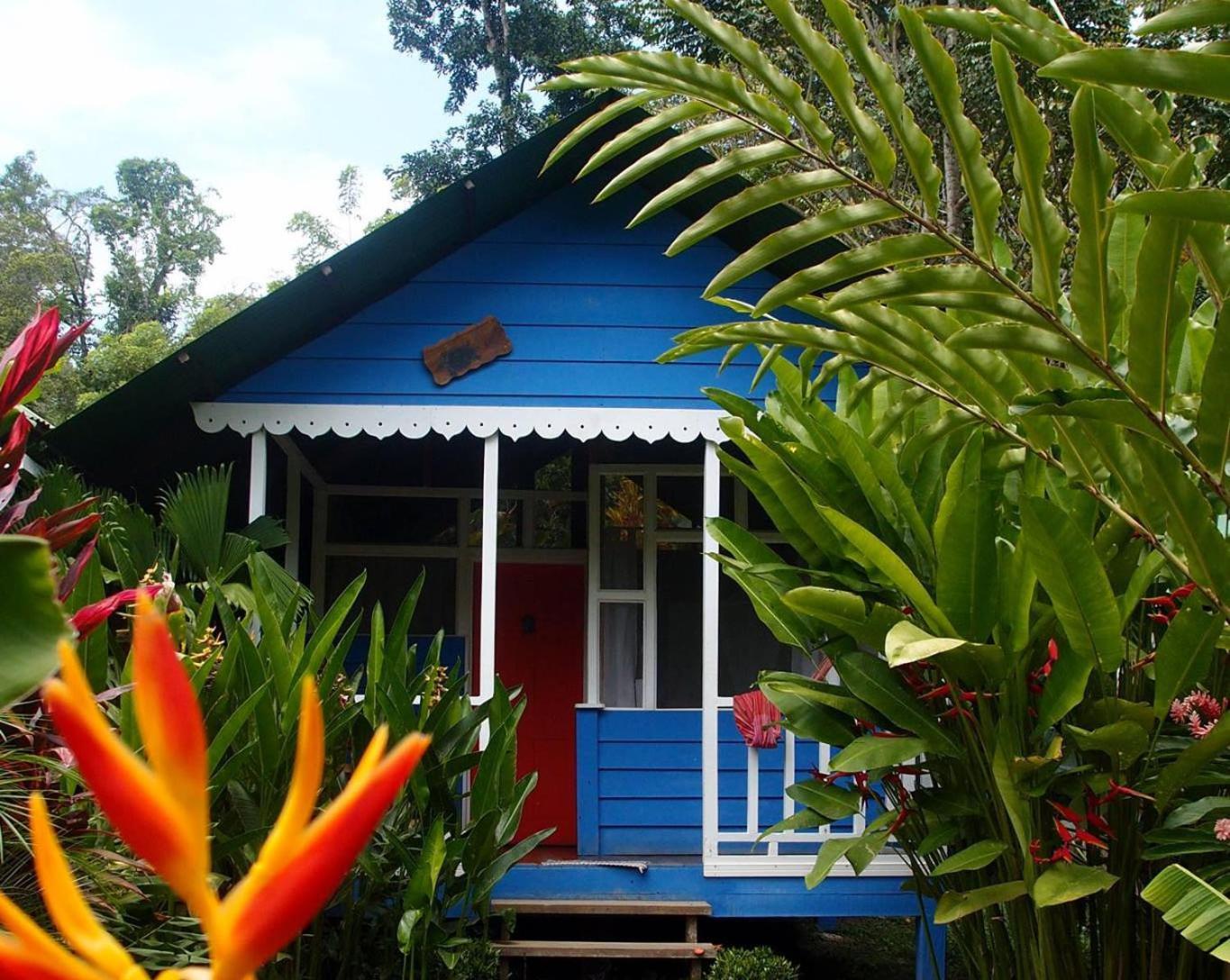 Hotel Casitas Mar Y Luz Puerto Viejo de Talamanca 외부 사진